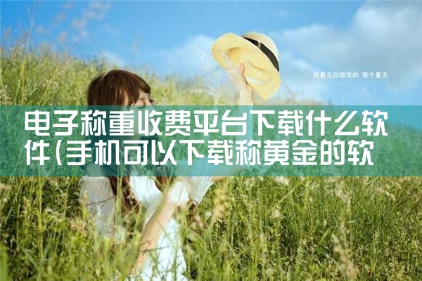 电子称重收费平台下载什么软件|杏吧