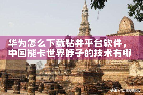 华为怎么下载钻井平台软件|抖阴