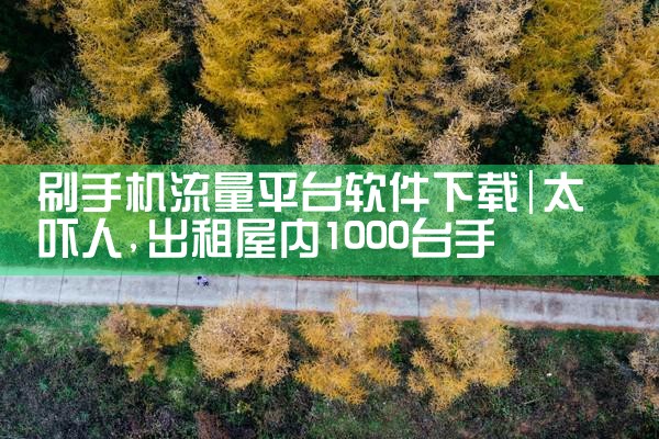 刷手机流量平台软件下载|抖阴