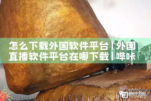 怎么下载外国软件平台|哔咔漫画