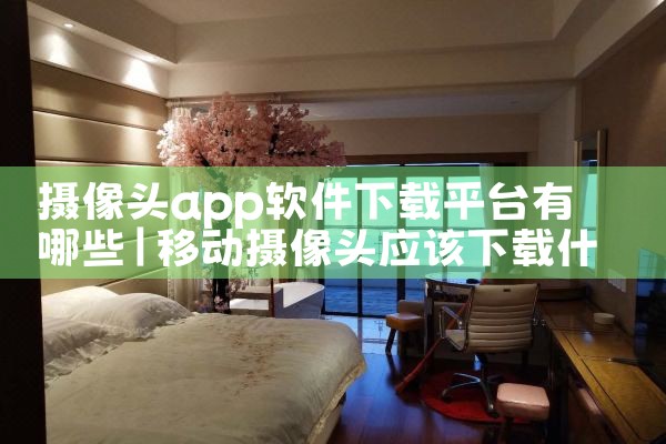 摄像头app软件下载平台有哪些|杏吧