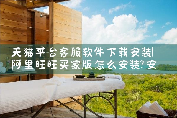 天猫平台客服软件下载安装|杏吧