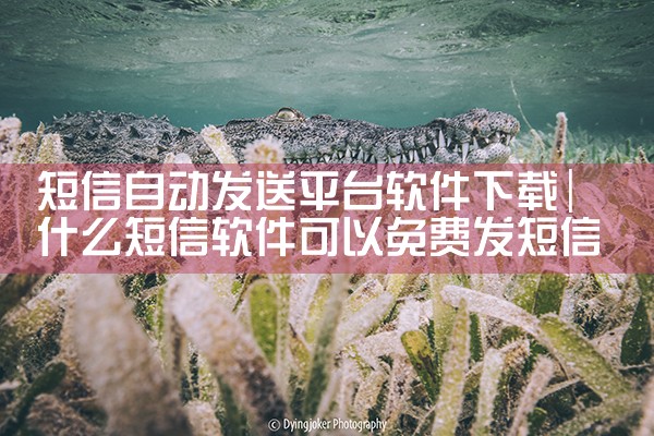 短信自动发送平台软件下载|小蓝视频