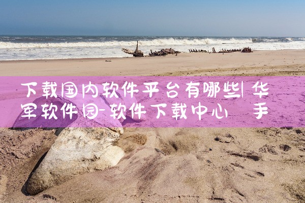 下载国内软件平台有哪些|小蓝视频